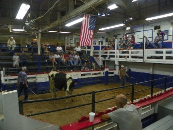 Saler & Buyers are doing Bidding