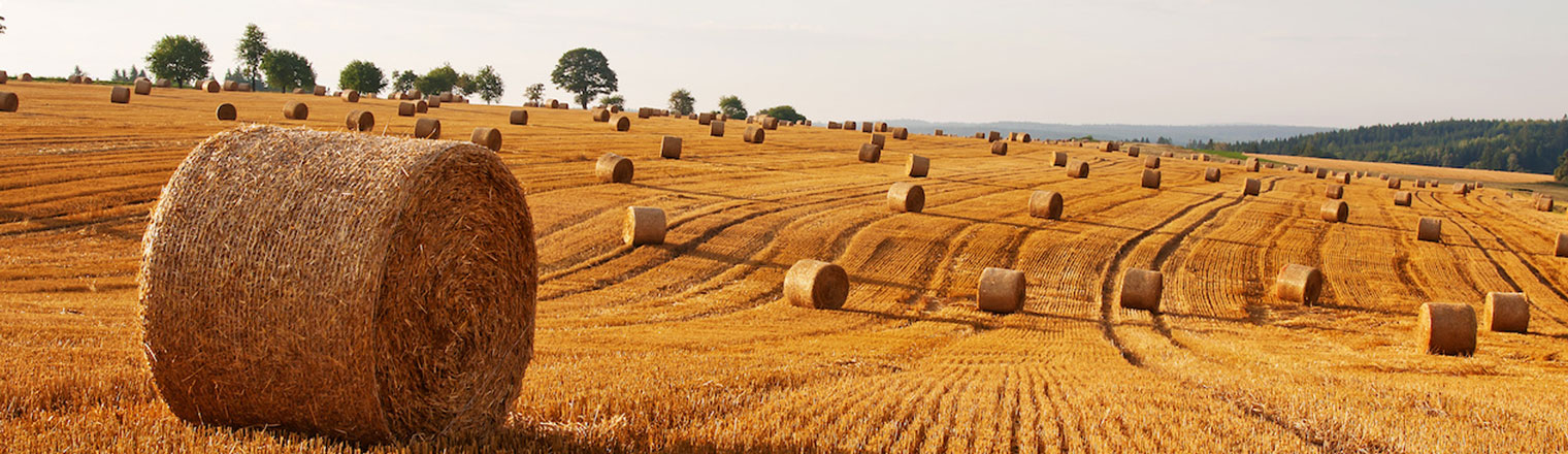 Round Hay Bale