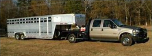 F250 and Cattle Trailer