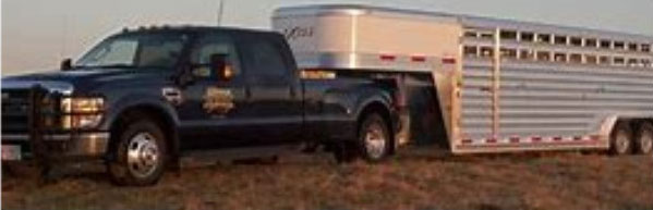 Truck With Cattle Trailers