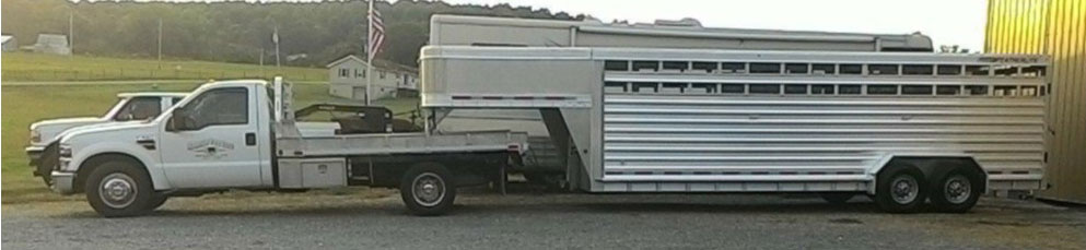 Truck and Cattle Trailer